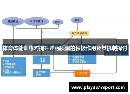 体育体能训练对提升睡眠质量的积极作用及其机制探讨